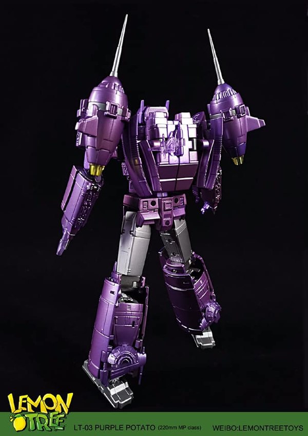 Image Of Lemontree Toys LT 03 Purple Patato  (7 of 13)